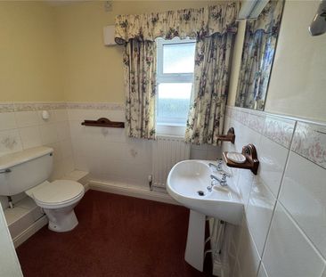 The Hollies, Meadow View - Photo 1