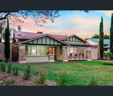 44 Hillsley Avenue, Everard Park, SA 5035 - Photo 6