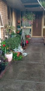 Gladstone Park - Photo 4