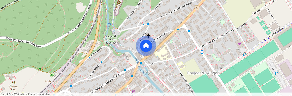 2504, Biel/Bienne, Rue Arrière / Hintergasse, 4a