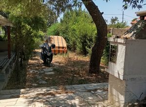 Μονοκατοικία για ενοικίαση - Αρτέμιδα (Λούτσα), - Φωτογραφία 4