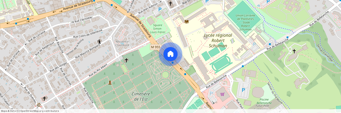 119 Avenue de Strasbourg Les Terrasses de la Pépi, 57000, Metz