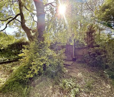 Smallwood Hey, Pilling - Photo 6