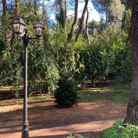 Μονοκατοικία για ενοικίαση Νέα Κηφισιά (Κηφισιά) - Photo 3