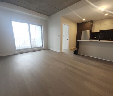 5605 Avenue Pierre-De Coubertin, #1113 - Photo 3