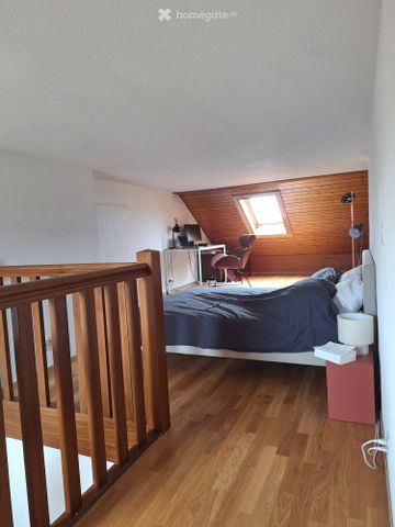 4 pièces Duplex traversant 2 grandes terrasses Plainpalais - Foto 2