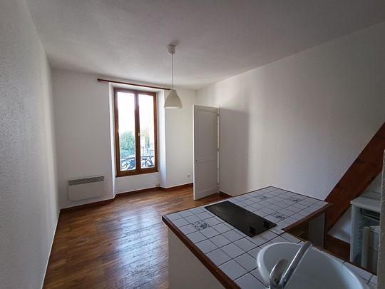 Location Appartement 1 pièce 19m² GRENOBLE 38000 - Photo 1