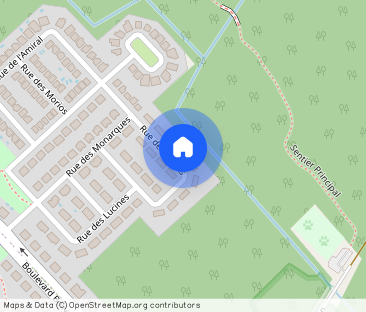 Appartement 3 1/2 à louer - Photo 1