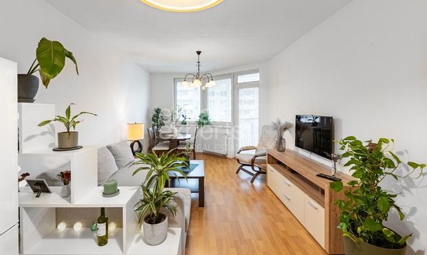 Príjemný 2i byt 50 m2,klíma, s balkónom a parkovaním, JÉGÉHO ALEJ - Photo 1
