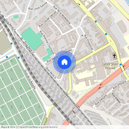44 RUE DU DOCTEUR LOUIS MICHEL, Rene Ii Bonsecours La Madeleine, Nancy
