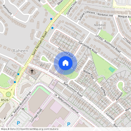 Ballycummin Road, Raheen, Limerick, Ballycummin, Co. Limerick