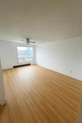 71 Lansdown Street - Unit 3 - 3 bed, 1 bath - Photo 1