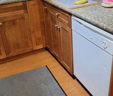 1 Bedroom at Old Yale Heights! - Photo 4