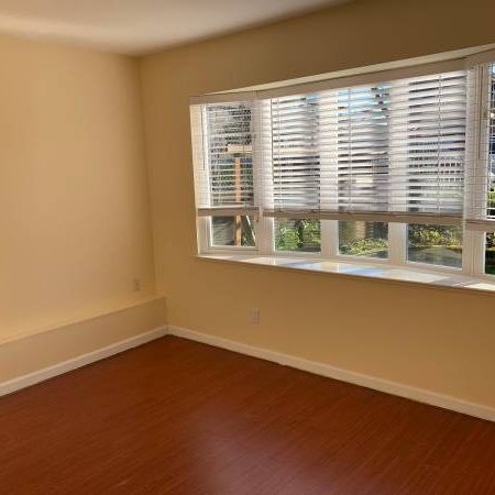 2 Bedroom Basement Suite - East Van - Photo 1