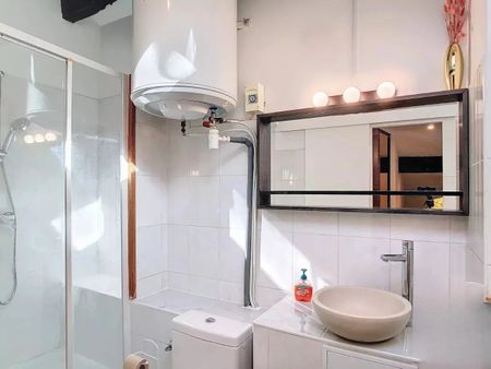 F3 meublé avec jardin privatif de 35m² - Photo 3