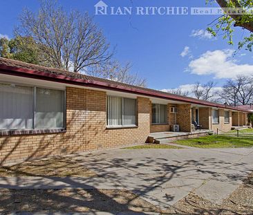 Walk to Dean Street - Central Albury Location! - Photo 3