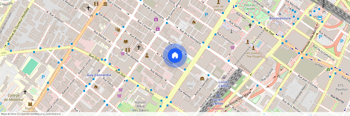 1181 Rue Bishop, Montréal (Ville-Marie), QC H3G