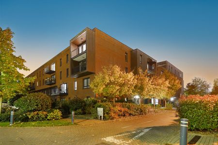 Apartment To Let - Photo 4