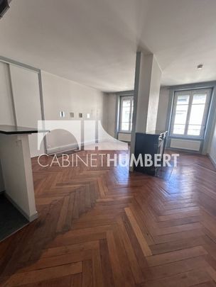 Location Appartement 1 pièce 40m² ST ETIENNE 42000 - Photo 1
