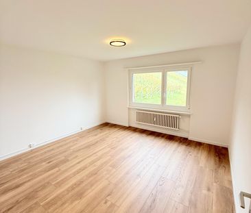 Frisch renovierte 4.5 Zimmer-Wohnung mit herrlicher Aussicht - Photo 4