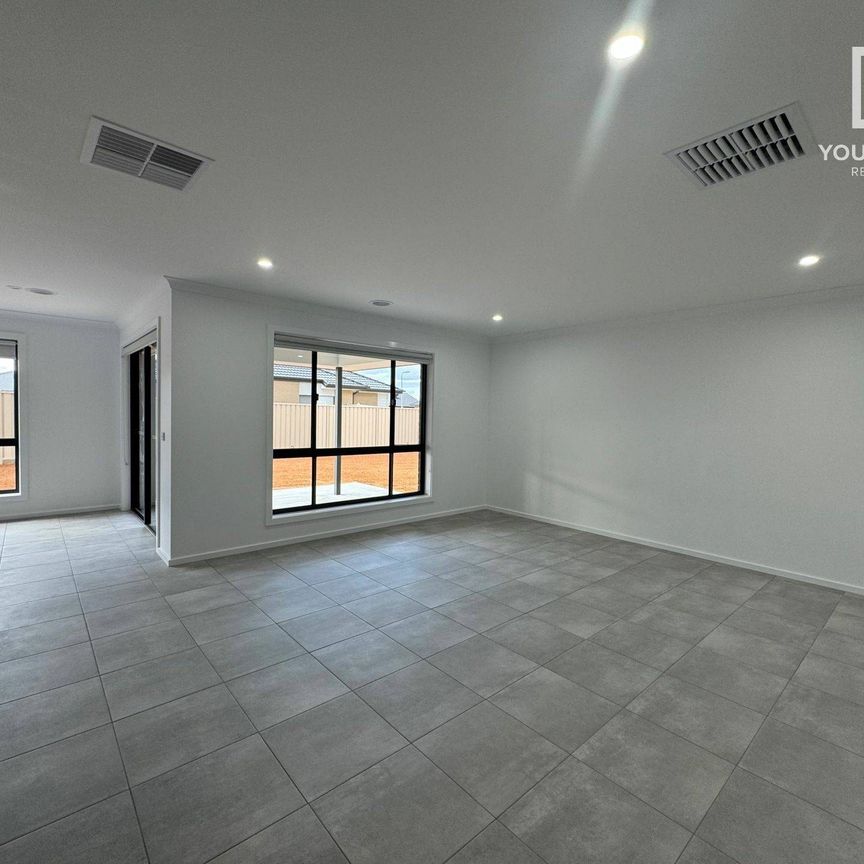 16 Gilmour Cres, Kialla - Photo 1