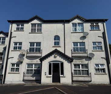 85 Birch Hill Meadows, Antrim, BT41 2TY - Photo 6