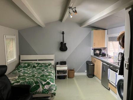 Studio Flat, London, SE19 - Photo 3