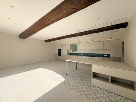 Location Maison 9 pièces 371m² CHAPONOST 69630 - Photo 2