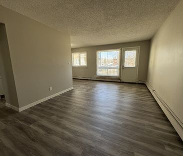 Amazing 2 Bedroom Apartment on Quiet Close!! - Photo 1