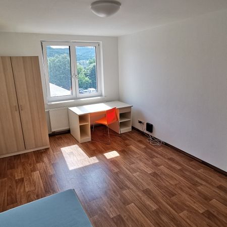 Wohnung, 1 Zimmer (24,89 m²) - Photo 4