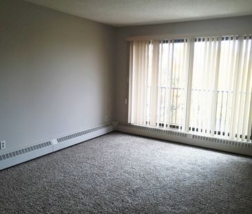 NO STAIRS!! Spacious Well Maintained Building 2 Bed, 1 Bath - Photo 1