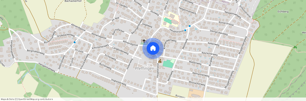 Auf Anfrage, 4148 Pfeffingen