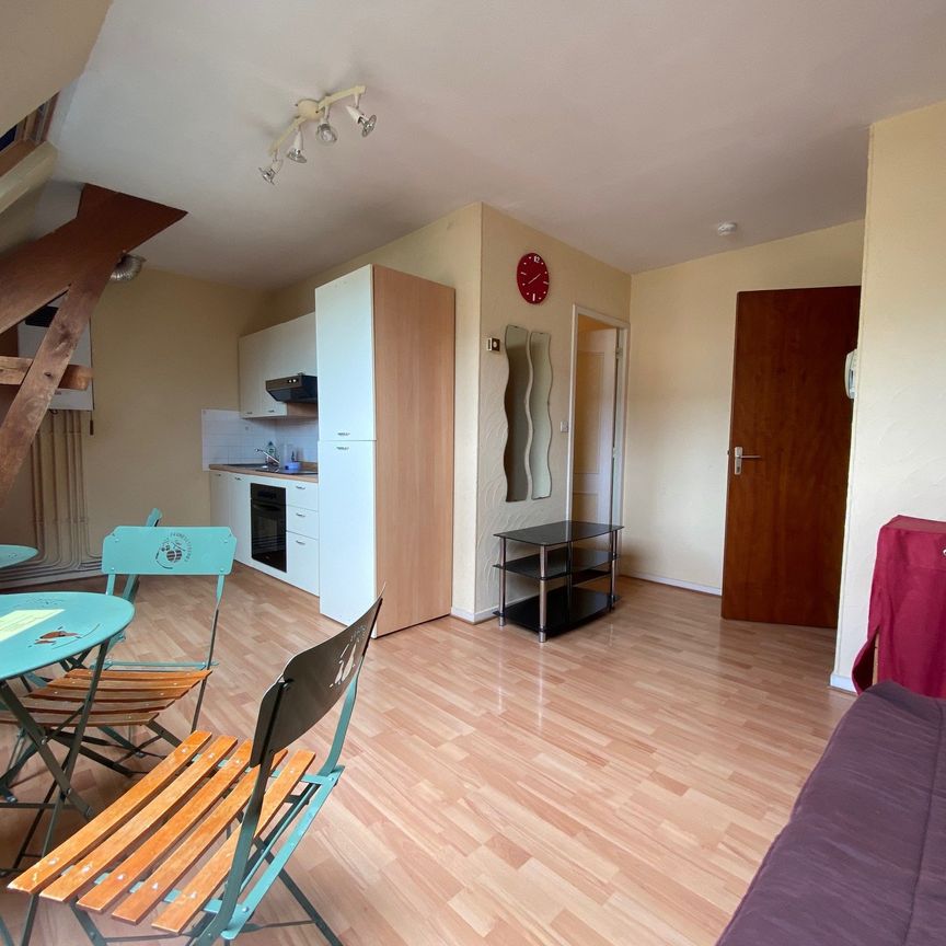 Location Appartement 1 pièce 20m² SAUMUR 49400 - Photo 1