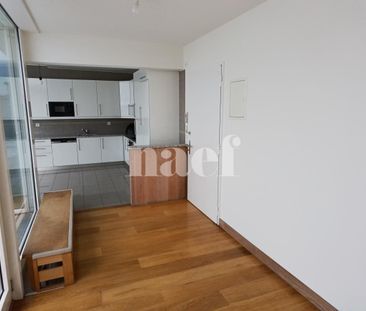 Appartement avec grande terrasse à Champel - Photo 3