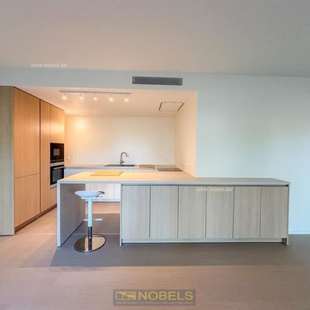 Te huur, energieneutraal gelijkvloers appartement in groene en rustige omgeving te Petegem - Foto 4