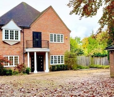 5 bedroom detached house to rent - Photo 4