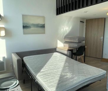 Location Appartement 1 pièce 28m² PALAISEAU 91120 - Photo 3