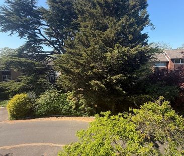 Room in a Shared House, Cintra Close, RG2 - Photo 5