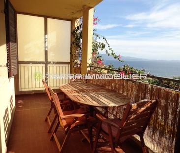 Location Appartement 2 pièces 50m² AJACCIO 20000 - Photo 4