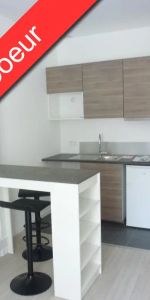 Appartement à louer 1 pièce 20.65m² - Photo 3