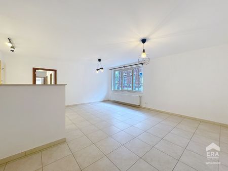 3 CHAMBRES AU REZ-DE-CHAUSSEE - Photo 2