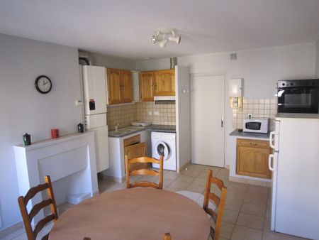 Location Appartement 2 pièces 52m² CHARLIEU 42190 - Photo 3