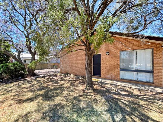 2 bedroom renovated unit in West Dubbo - Photo 1
