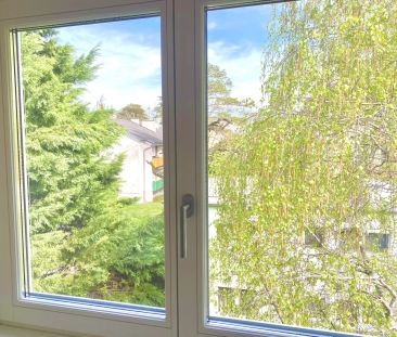 Traumhafte 4-Zimmer Dachgeschosswohnung mit Dachterrasse - Foto 2