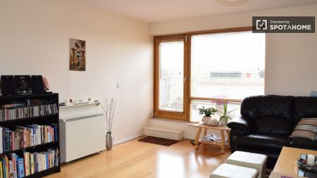 Decorated room in 3-bedroom apartment in Dublin - Photo 2