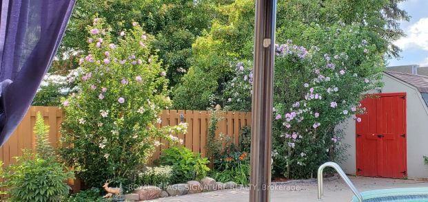 48 Lawndale Crescent #Lower - Photo 1