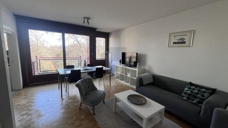 SPACIEUX, CALME & PROCHE DU LAC - Foto 2