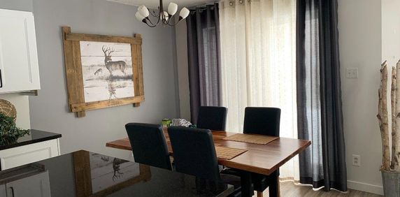 Condo meublé, terrasse, St-Sauveur, Mai-Nov 2026 - Photo 2