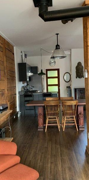 Luxueux 1000 pi² avec Foyer au gaz dans HOMA - Photo 1