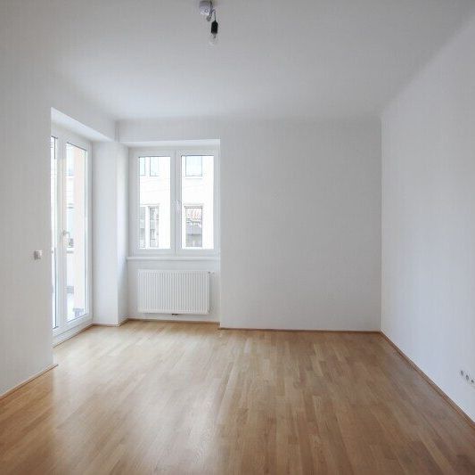 3-Zimmer-Wohnung mit 33 m² Terrasse am Laurenzerberg in direkter Nähe zum Schwedenplatz - Foto 1